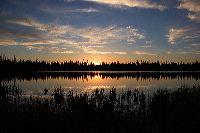 jb_lilylake_4663