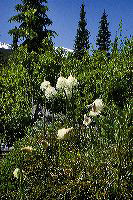 jb_twinlakes_2569