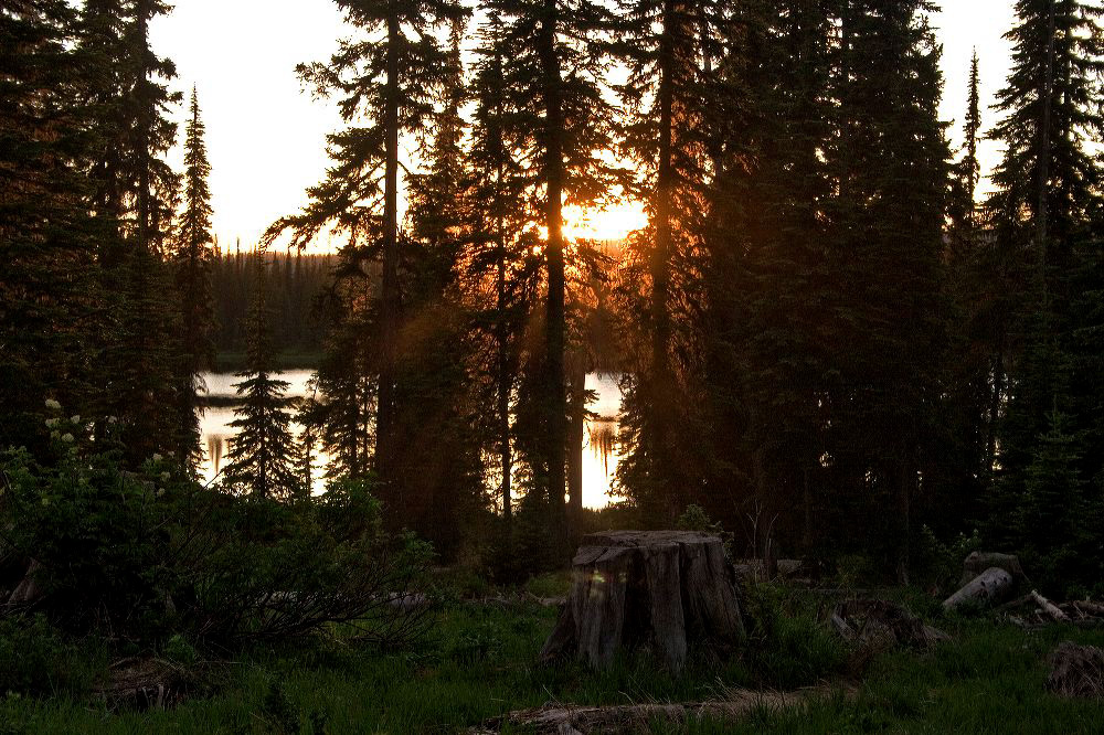 jb_lilylake_4660.jpg