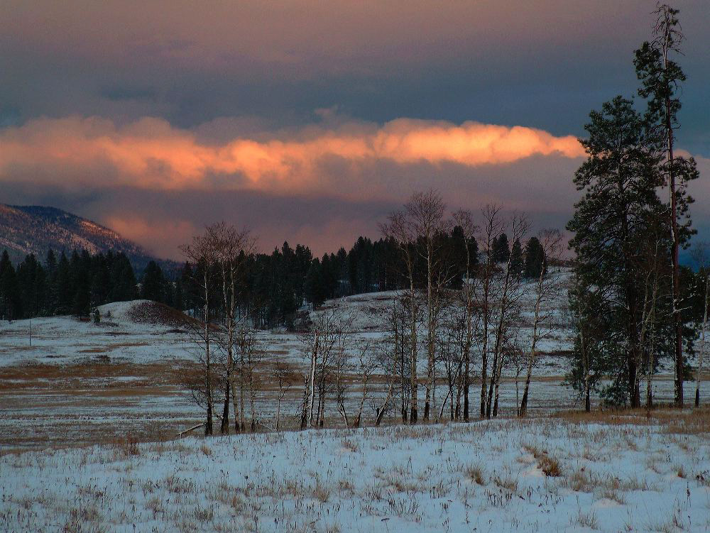 jb_ovando-evening.jpg