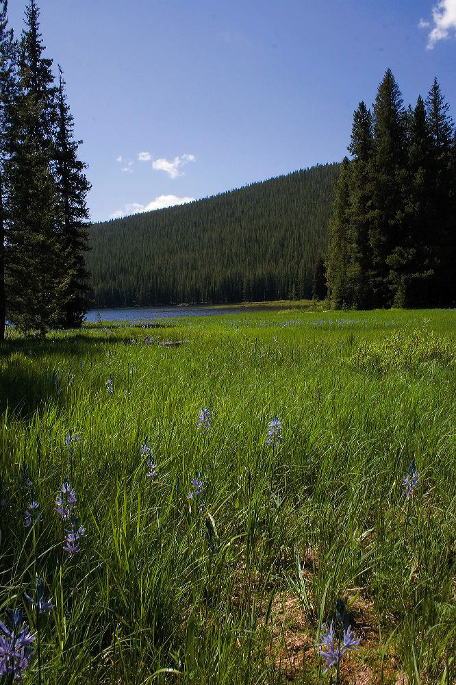 jb_twinlakes_2563.jpg