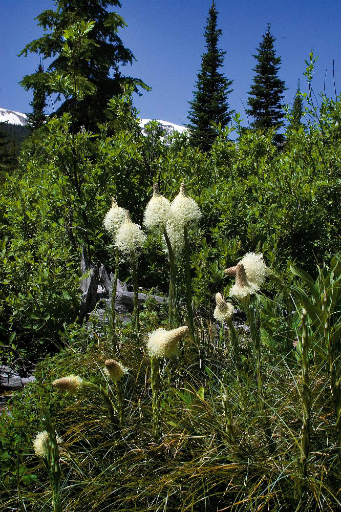 jb_twinlakes_2569.jpg