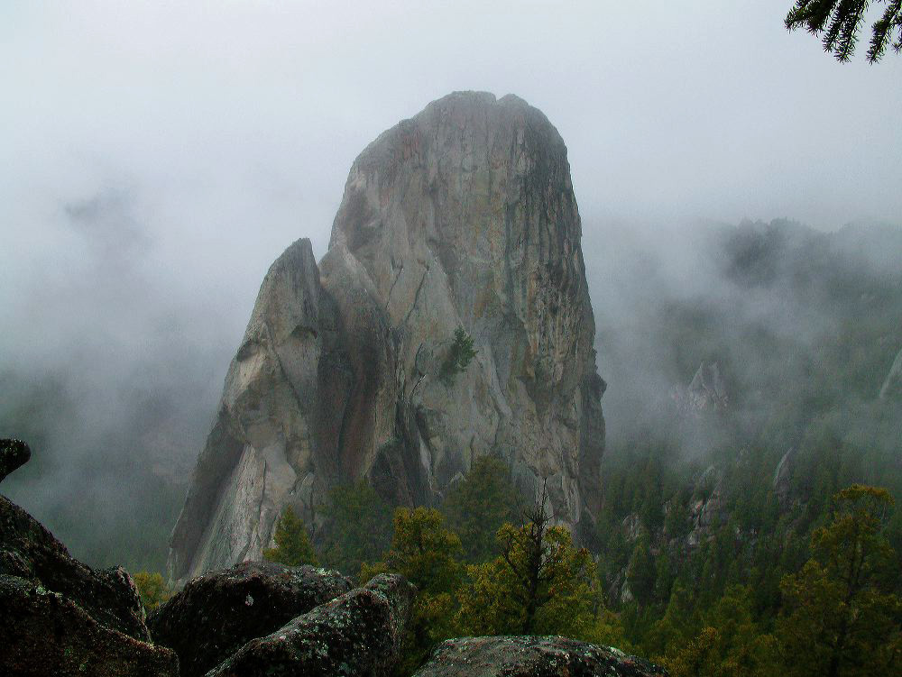 jb_wedge_mist_01.jpg