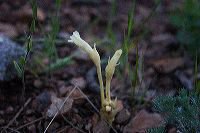 jb_nakedbroomrape_4374