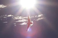 jb_gull_3490