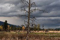 jb_osprey_001